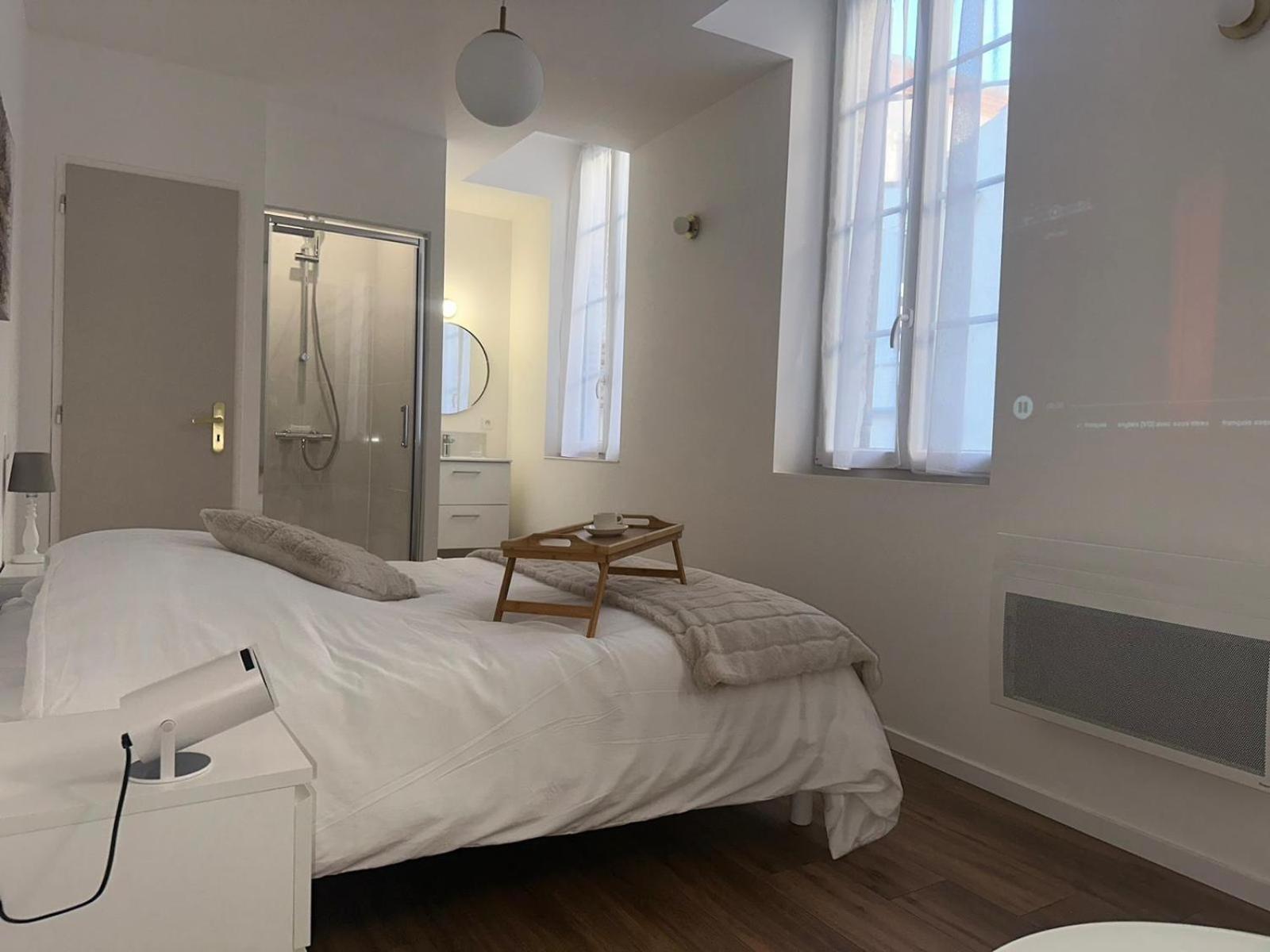 Maison Des Ambans Chambres D'Hotes Hypercentre 200M De La Gare Et Petit Dejeuner Inclus アジャン エクステリア 写真